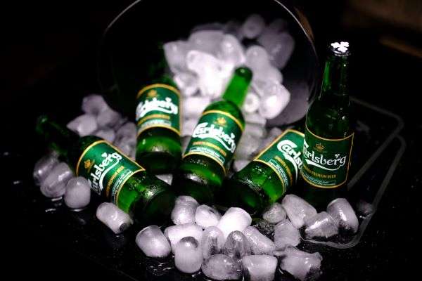 An ice bucket with several glass bottles of Carlsberg.