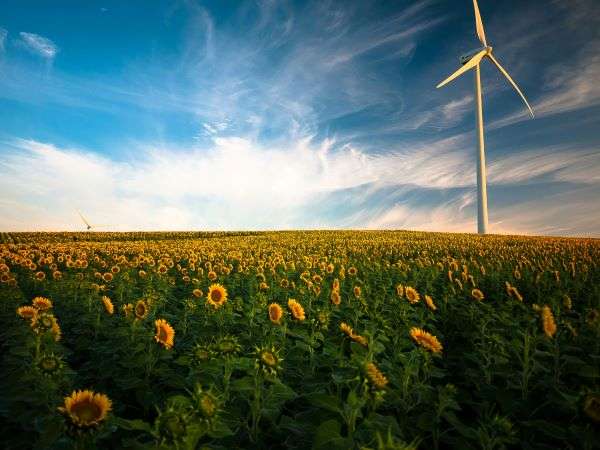 Corporate sustainability programme represented by wind power.