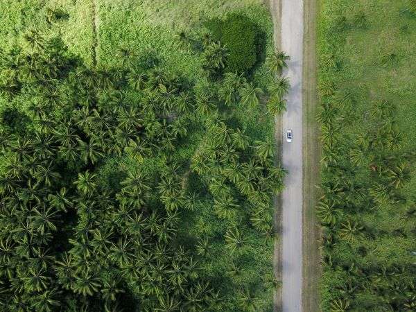 A car driving on a road along side a sustainable farm.