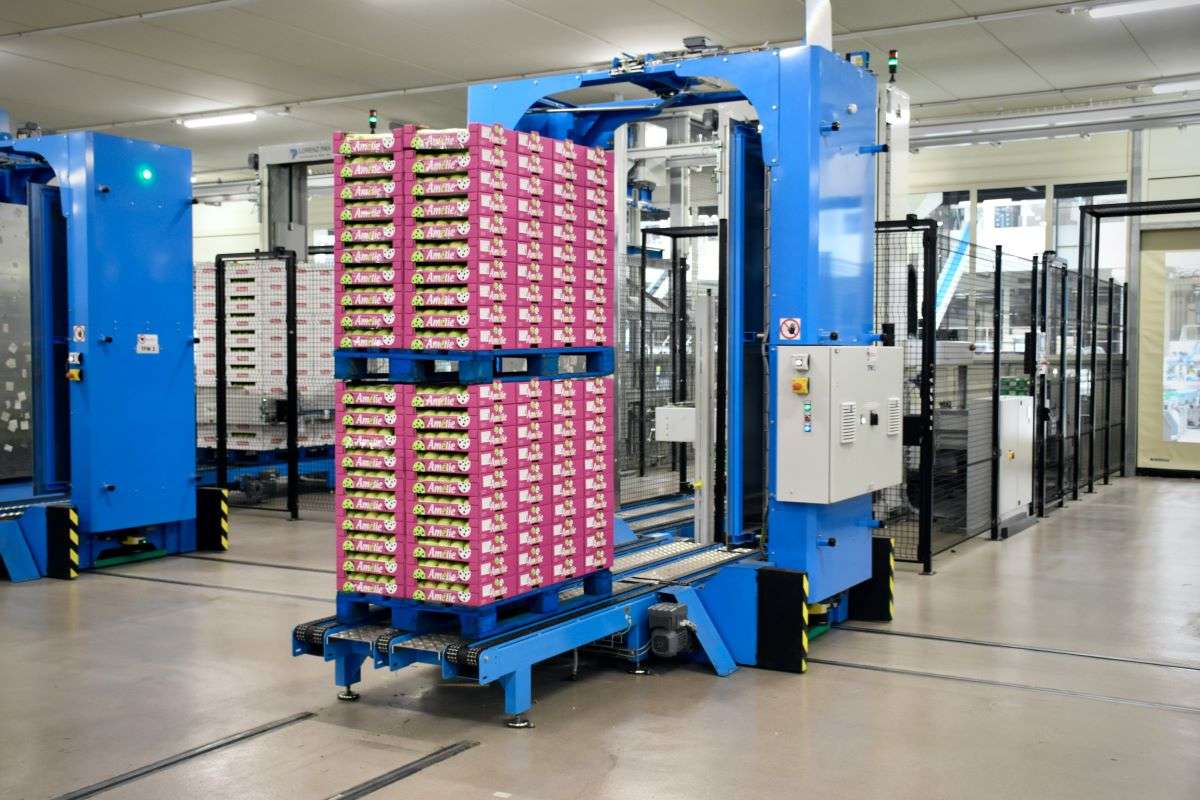 A warehouse robot. Strategic robotics integration enhances warehouse efficiency while preserving human flexibility and operational adaptability.