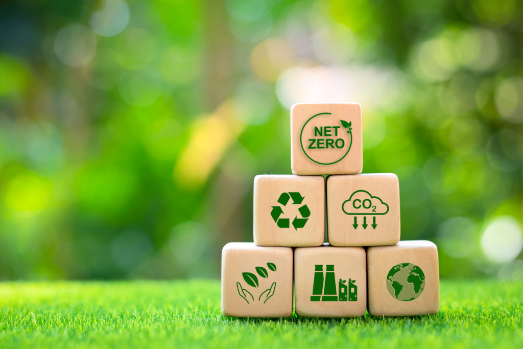SHEIN’s Net Zero Targets Gain Validation Amid Supply Chain Scrutiny