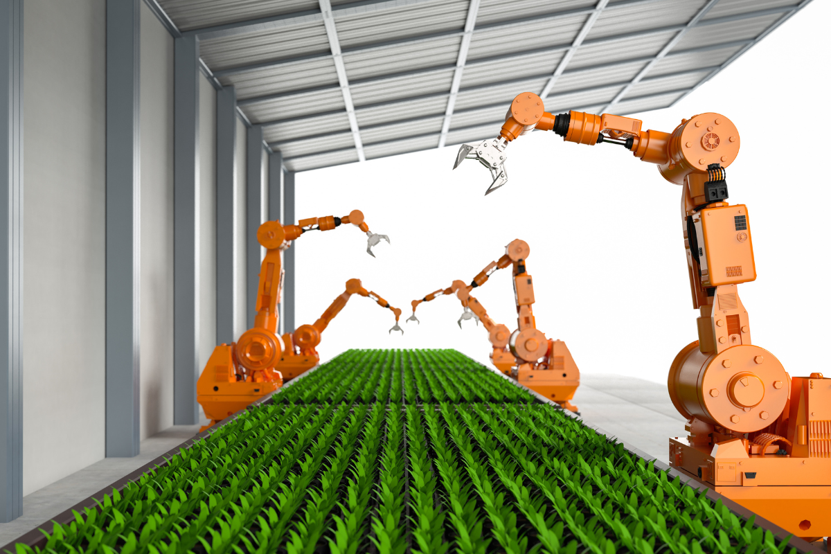 How Apogee Rebuilt Demand Through Operational Discipline