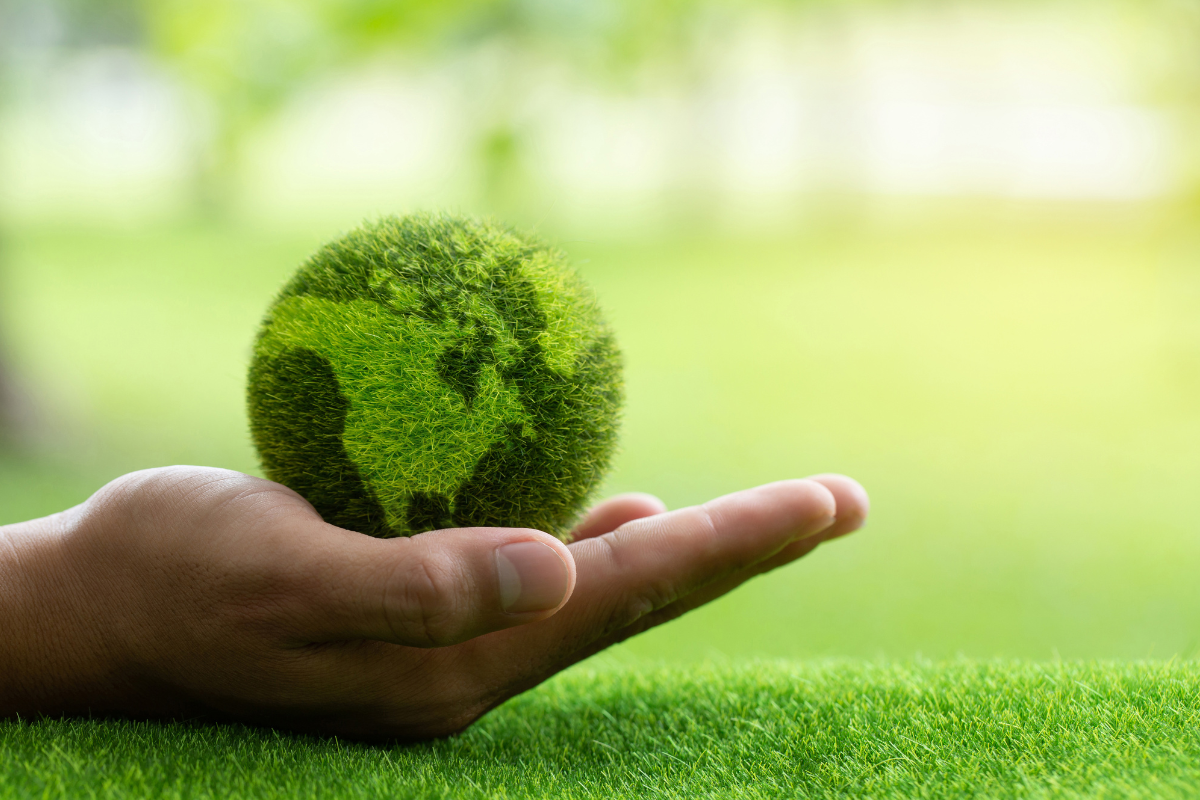 sustainability