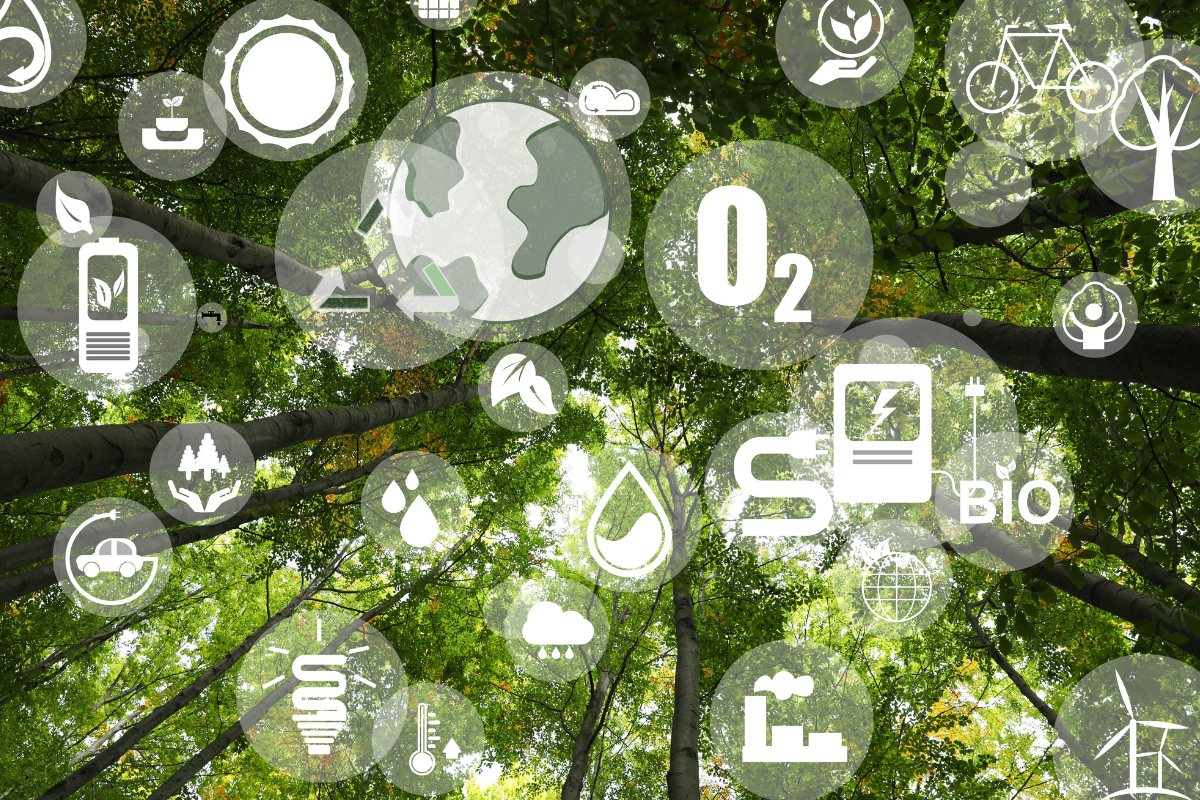 Firms Struggle To Track Scope 3 Emissions