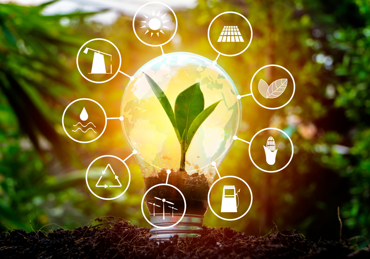 Apparel Firms Adopt Forest-Free Sourcing To Cut Climate Risk