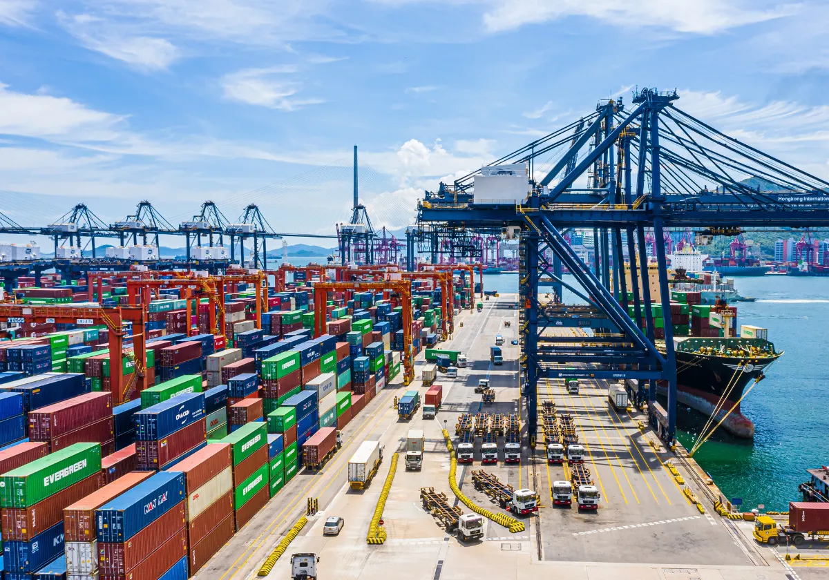 Supply Chain