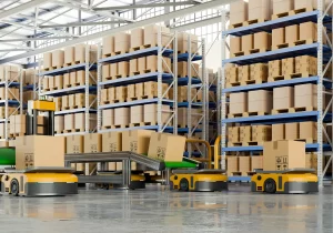 Five WMS Go-Live Gaps That Can Disrupt Warehouse Operations