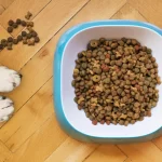 Chewy Exposes the Missing Measure in AI Economics